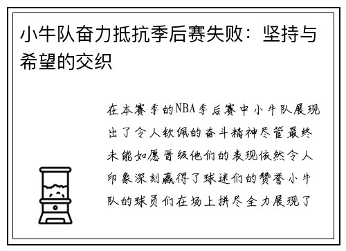 小牛队奋力抵抗季后赛失败：坚持与希望的交织